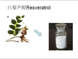 Resveratrol 50%